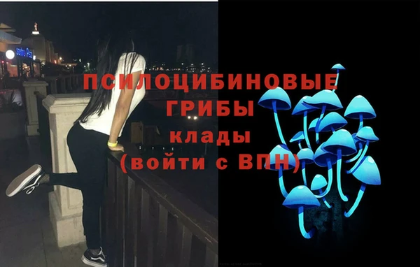 сатива Ростов
