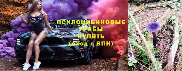 mdpv Приозерск